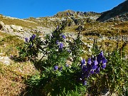 MONTE CADELLE (2483 m)ad anello da Foppolo con discesa dal Passo dei Lupi e di Dordona il 27 novembre 2014 - FOTOGALLERY